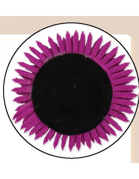 124200.000.0002-124200.000.0002-aplicacion zapato parte de atras