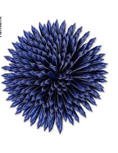 124200.000.0019-124200.000.0019-aplicacion azul zapato