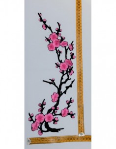 48131-0-95-48131-0-95-DSCF3824