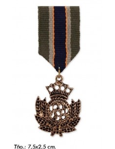 882019.000.0001-882019.000.0001-insiginia tono verde