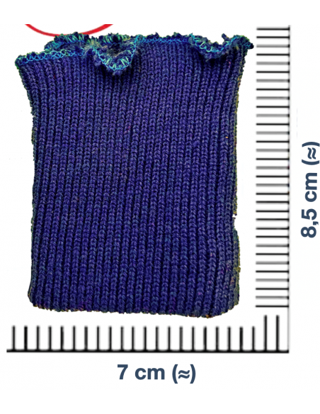 3013000000001-301300.000.0008-Puno-invierno-rizaal