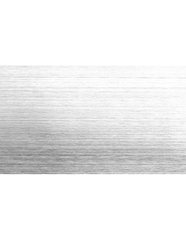 110352.000.0101-110352.000.0101-PLATEADA