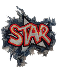 APLICACIÓN VAQUERA DE COSER... 2