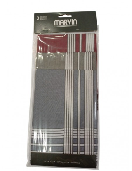 Blister de 3 und. Pañuelo caballero Gregal Marvin 43x43 cm.