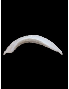 HOMBRERA GUATA DE SASTRE 2