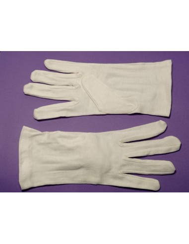 GUANTES 23 CM ALGODÓN (L) GUANTES 23 CM ALGODÓN (L)