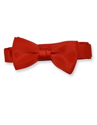 Pajarita raso caballero lisa color...