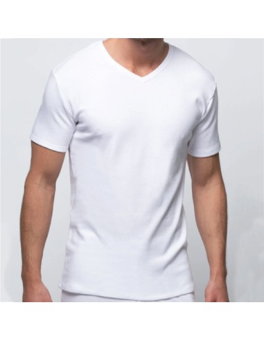 Camiseta Térmica Manga Corta Cuello...