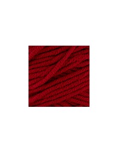 The Basic Chunky rojo 040... 2